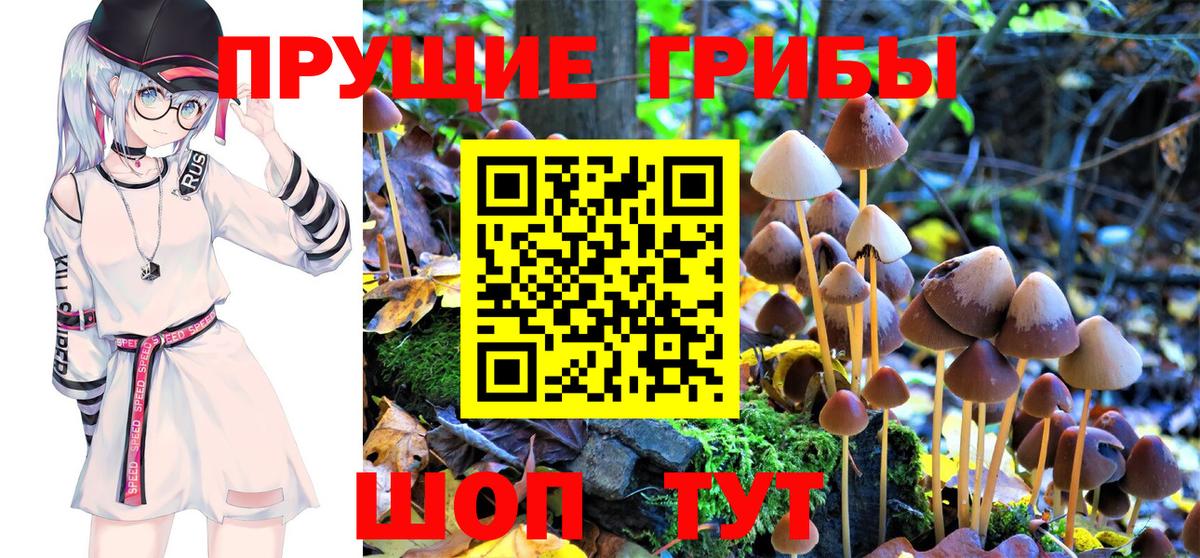 Псилоцибиновые грибы Magic Shrooms  Псилоцибиновые грибы ЛСД  дарнет шоп  Мирный  Вход с VPN 