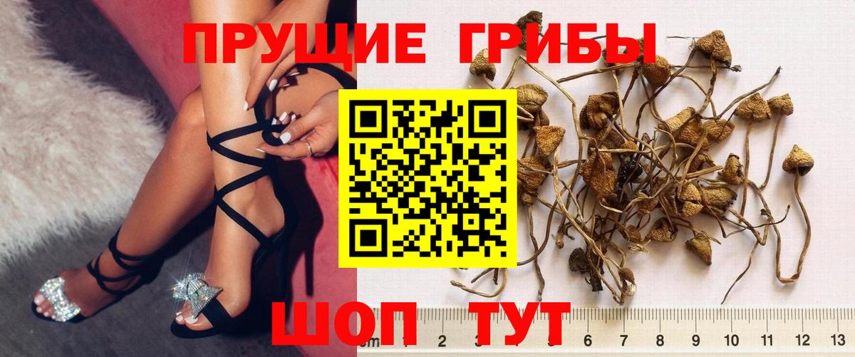 Галлюциногенные грибы Magic Shrooms Мирный